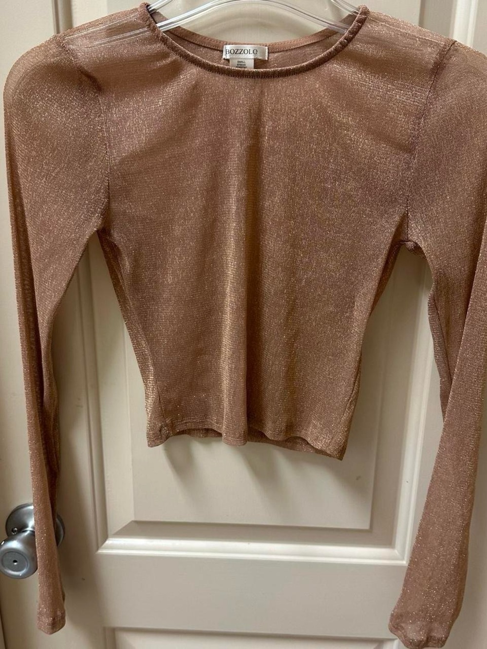 Tan and gold glitter long sleeve mesh crop size top. - Picture 2 of 5